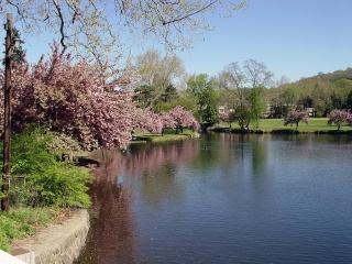 Nature - Springtime Free Desktop Wallpapers.